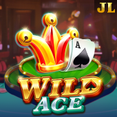 Wild Ace - Playtime Login Apk